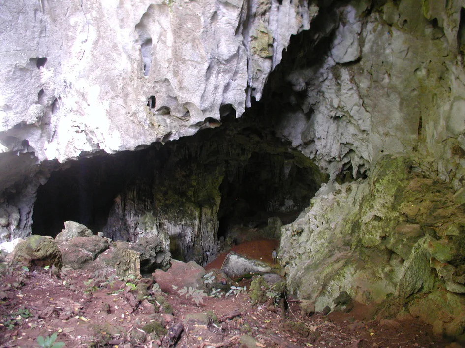Entrée de la grotte de Tam Pà Ling, ouverte sur une pente rocheuse, avec la zone de fouille en contrebas.
