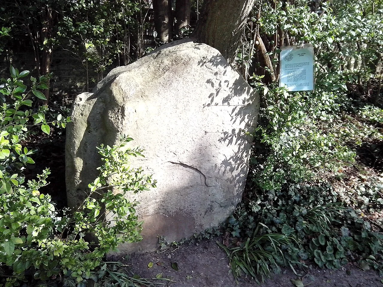 Pierre de sarsen du site de Flagstones, dans le jardin de Max Gate à Dorchester.