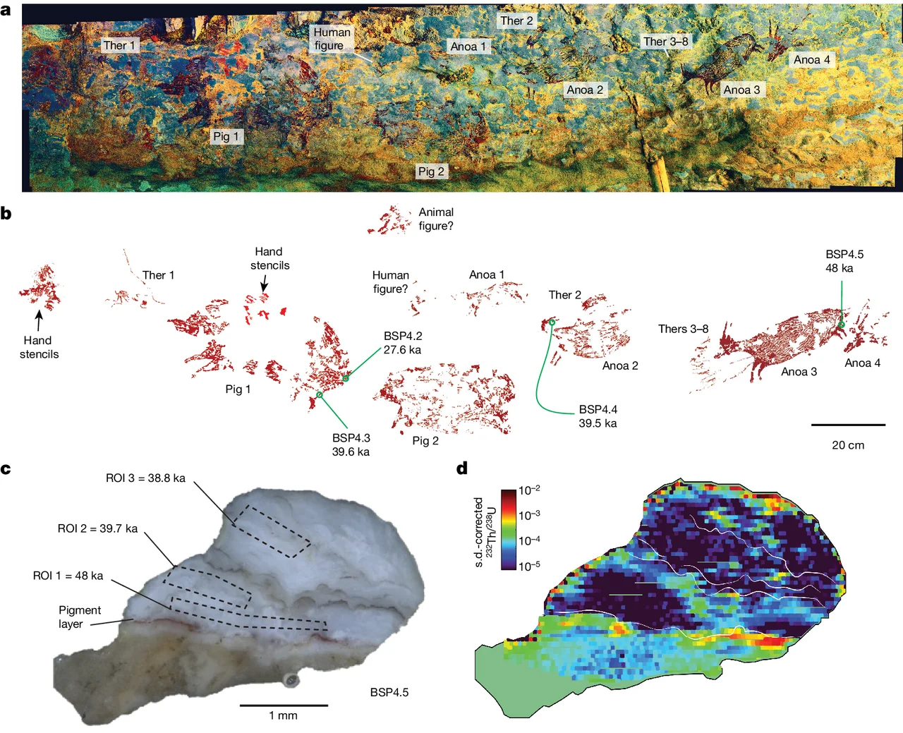 Figure scientifique du panneau rupestre de Leang Bulu’ Sipong 4 avec animaux, figures humaines et coupes des dépôts datés.