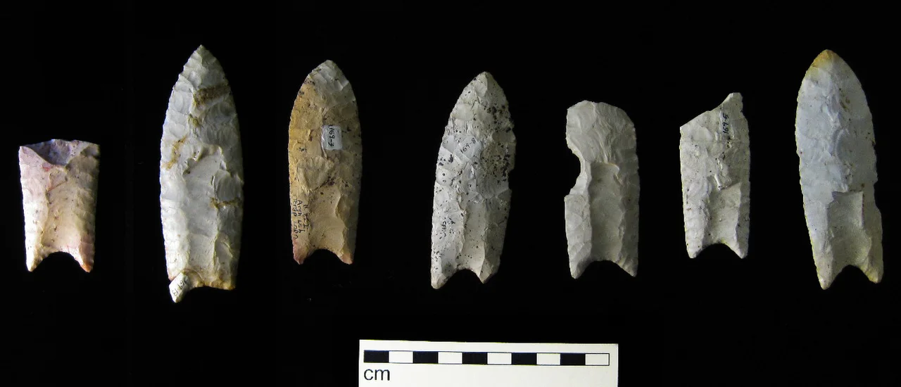 Sept pointes de pierre Clovis alignées sur fond noir avec une échelle centimétrique.