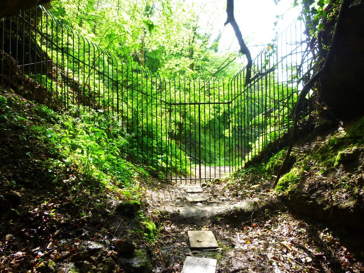 Entrée grillagée de la grotte de Veternica vue depuis l’intérieur, entourée de végétation.